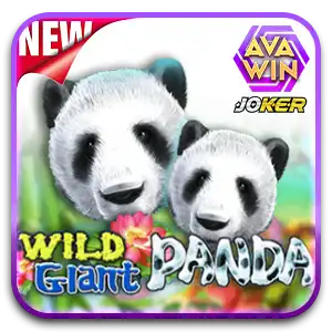 WILD GLANT PANDA